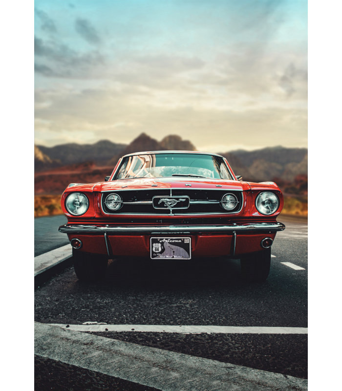 Wrapped Canvas Print, 76.2cm H x 50.8cm W