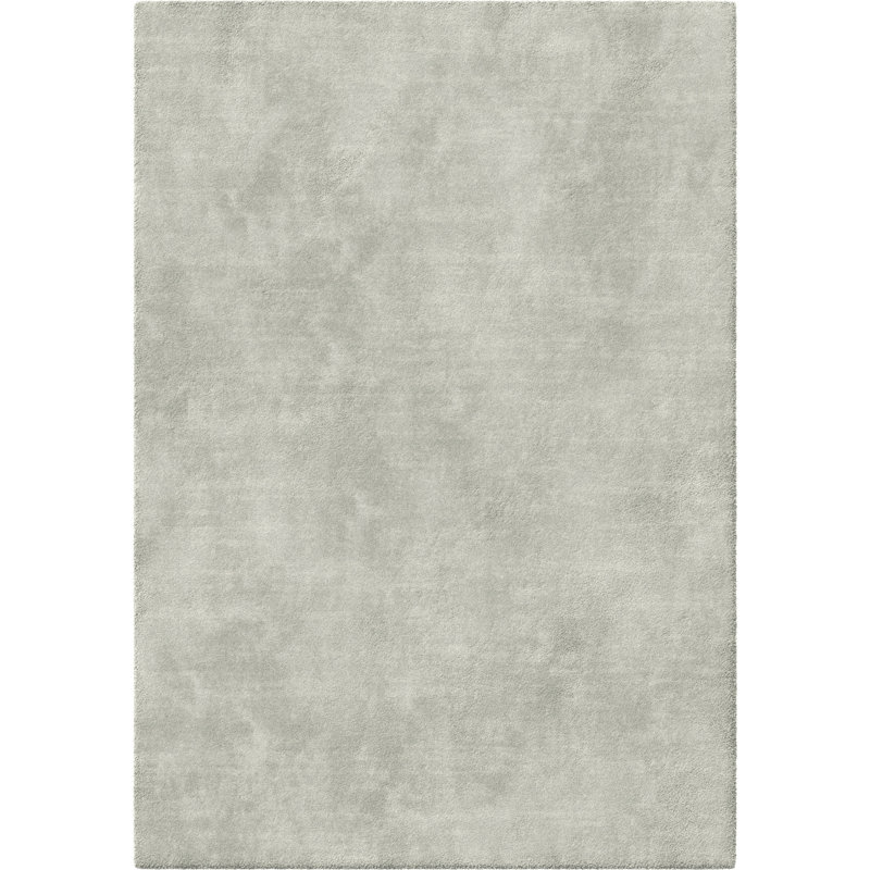 Richmondville Rectangle Area Rug, Rectangle 80 x 150cm