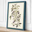 Olive Branches Study Botanical - Wrapped Canvas-1543131281-1543131294