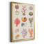 «Coral and Shell Collage I», impression sur papier-88436730-88436734