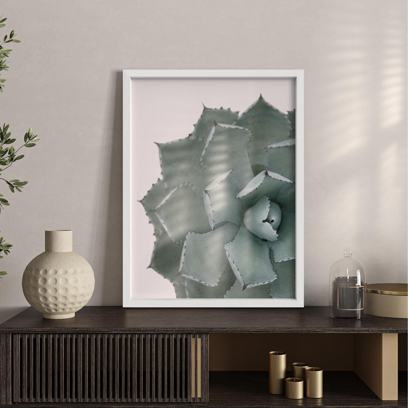 Gros plan sur une plante agave, petite œuvre d'art décorative, Blanc, H 16 po x l 12 po