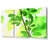 Spring Has Sprung - 3 Piece Wrapped Canvas Print-808600486