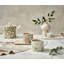 The Original Morris & Co. Blackthorn and Golden Lily Mugs