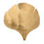 Ginkgo 1 - Light Armed Sconce