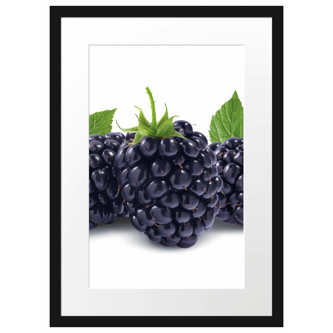 Gerahmtes Poster Leckere Brombeeren