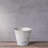 Carreras Planter-511374857-511374855