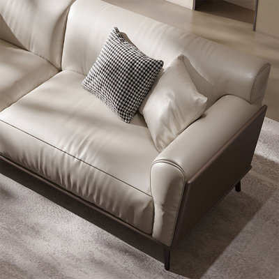 Beige Genuine Leather Standard Sofa cushion Loveseat