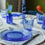 Assiettes Duralex 20 pi.