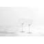 Ciero Wine Glass-731644035