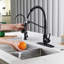 Blue Elephant Pull Down Kitchen Faucet-1208488354
