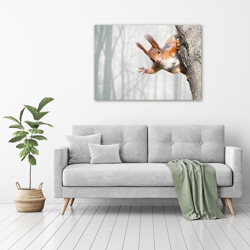 Squirrel - Wrapped Canvas Print