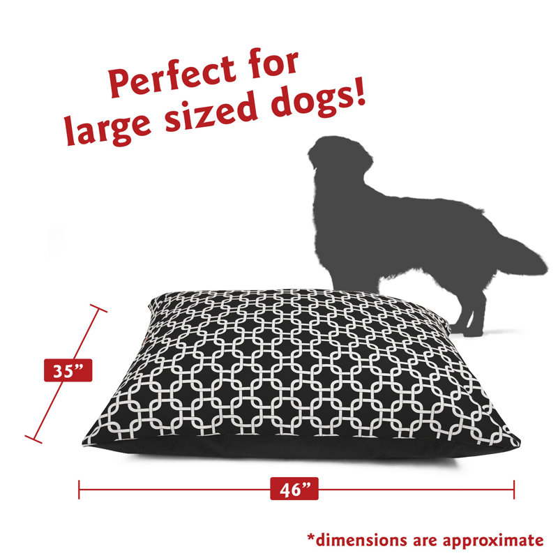 Coussin Super Value, Noir, Grand (l 46 po x P 35 po x H 7 po)