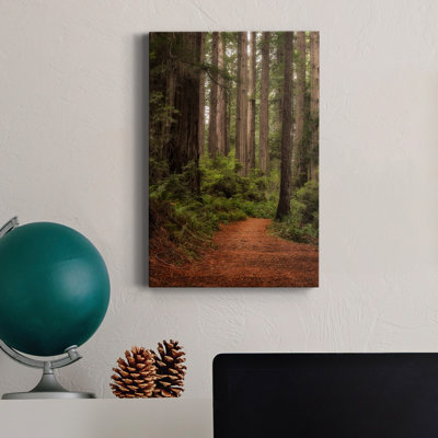 " Forest Path II "