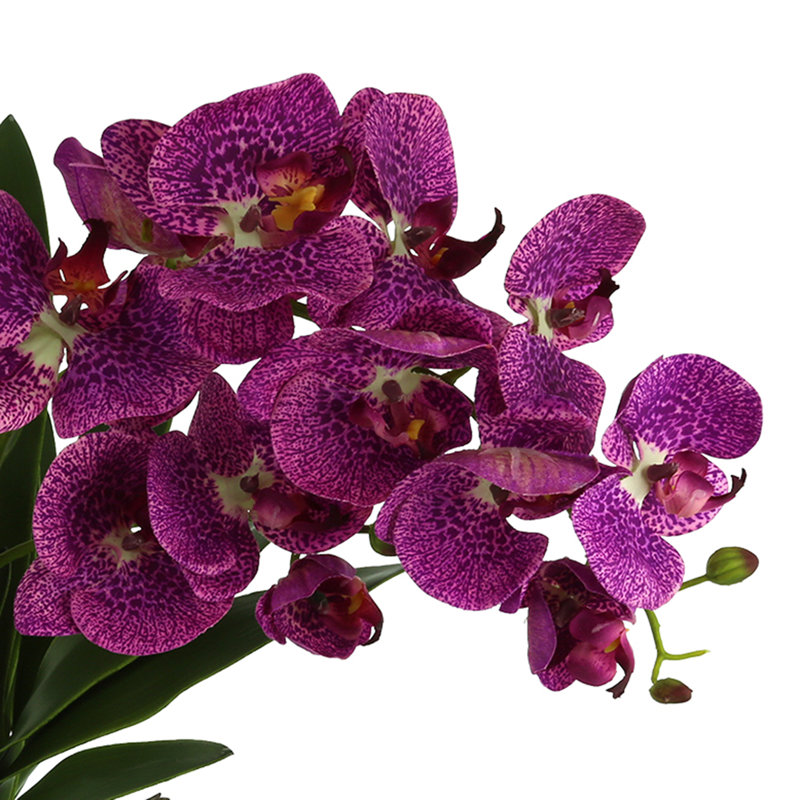 Orchid Floral Arrangement in Vase, Purple