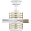 Ventilateur de plafond standard Carrollwood de 56 po à 6 pales avec télécommande et ensemble d'éclairage DEL inclus-1852390438