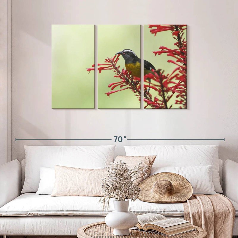 Ronce nourrissant un oiseau bananier, H 28 po x l 45 po