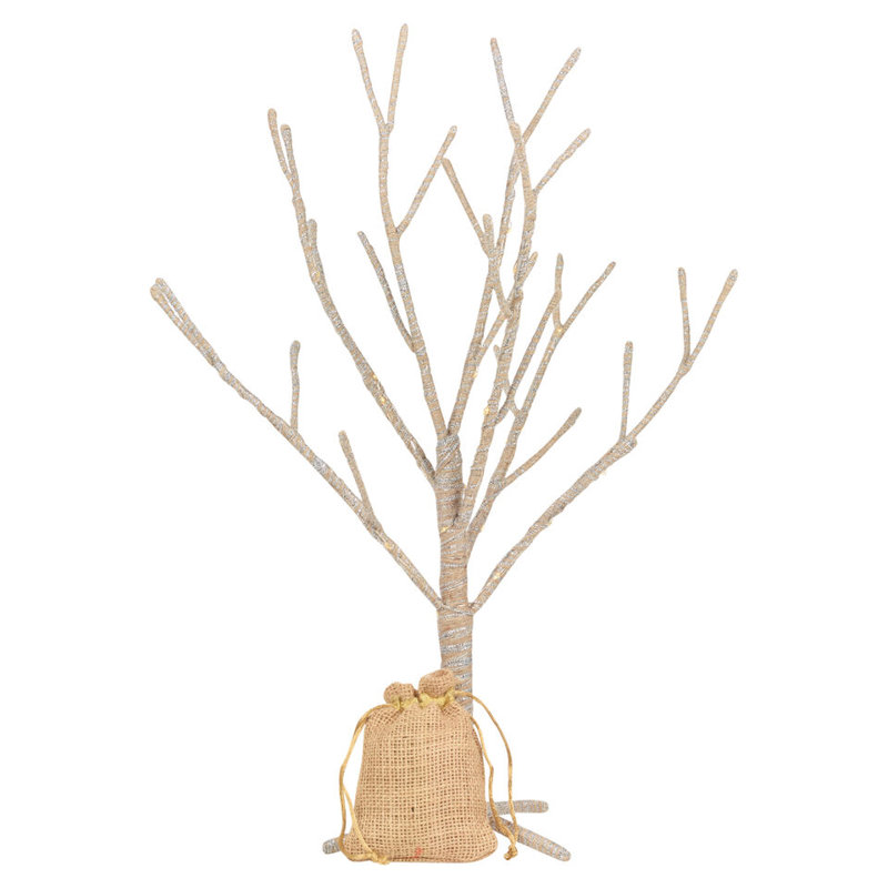 50cm Plant
