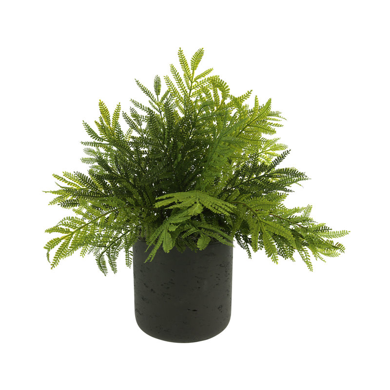 Pot à autruche Kenley