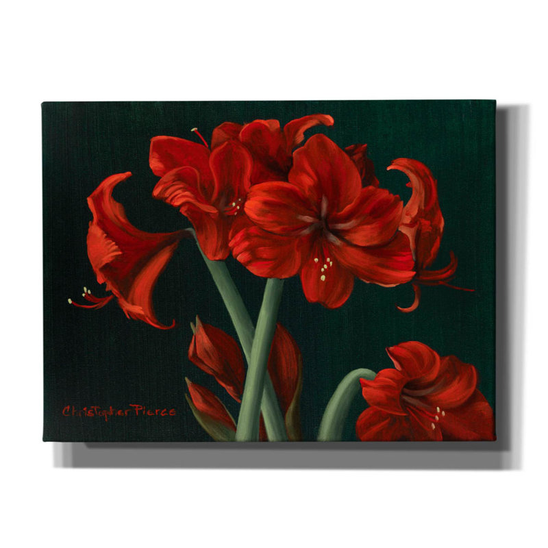 «Crimson Beauties On Canvas» par Christopher Pierce, reproduction, H 12 po x l 16 po x P 0,75 po