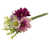 Pink/Purple