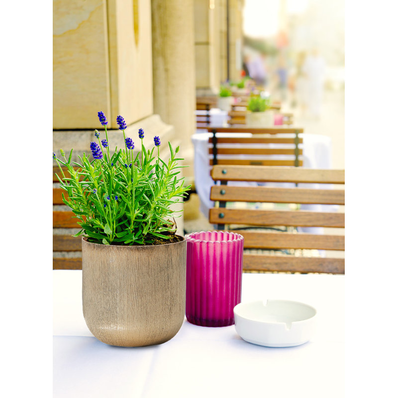 Lourence Metal Table Vase