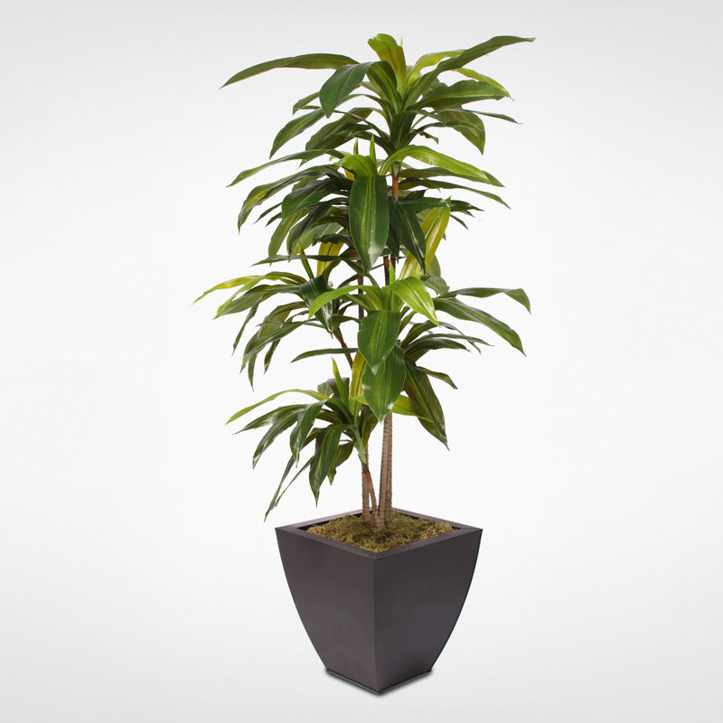 48'' Faux Dracaena Tree in Metal Pot