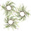 Fausse couronne de buis Snowberry - ensemble de 3 - 10 po - vert / rouge