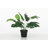15.55 " H Faux Plant in Plastic Pot