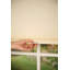 Store alvéolaire semi-transparent sans cordon-1041940637-1041940639