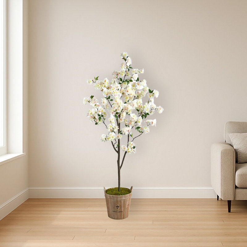 Cherry Blossom Tree in Farmhouse Planter