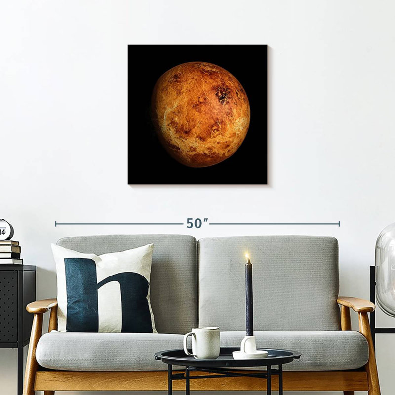 Oberle Venus Close Up, 24" H x 24" W