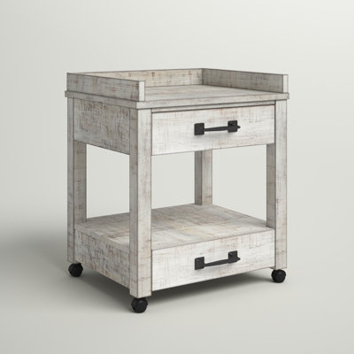 Auberon 24.75'' H x 21'' W Printer Stand with Wheels
