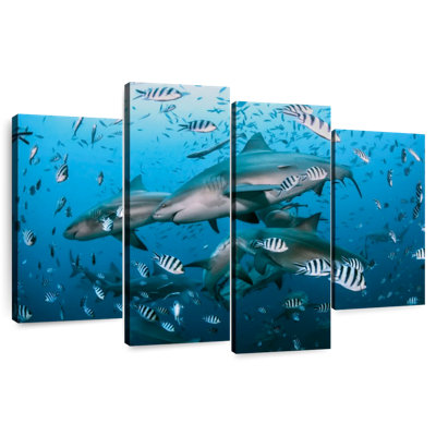 Aletra Beqa Lagoon Sharks