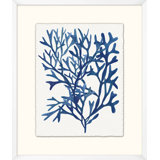 Indigo Sea Life 4 Painting