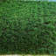 Bryen 35mm Artificial Grass For Lawn Balcony, Non-Slip Artificial Grass-1m(3'3") X 4m(13'1")-4m²