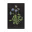 « botanique chart vii », impression sur toile tendue-20146285-72576970-72576969