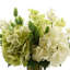 Green and White Hydrangea Arrangement