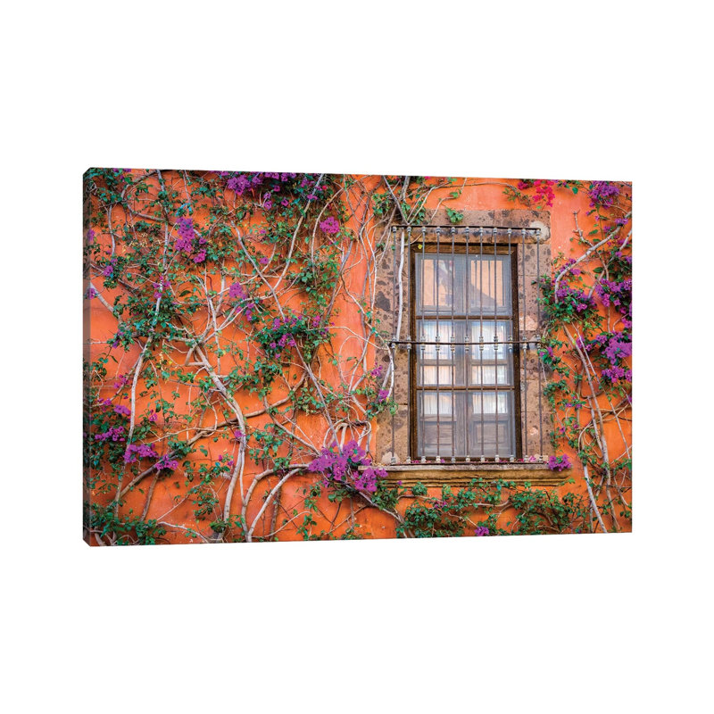 View Of Wall And Window Covered By Bougainvillea, San Miguel De Allende, Mexico - Wrapped Canvas Print