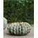 Sunken Handmade Ceramic Table Vase