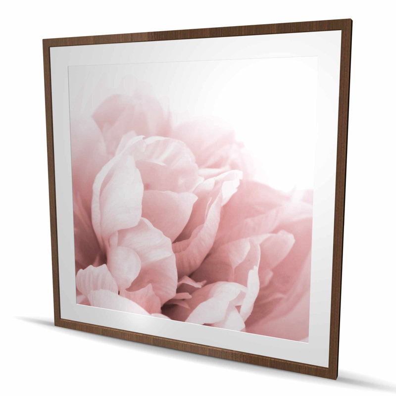 Peony Flower Dream - Floral Botanical, reproduction d'art encadrée