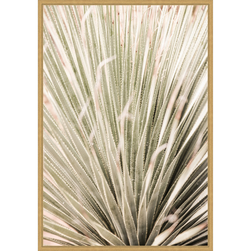 «Desert Spoon» par Marilis, reproduction d'art sur toile encadrée, H 33 po x l 23 po