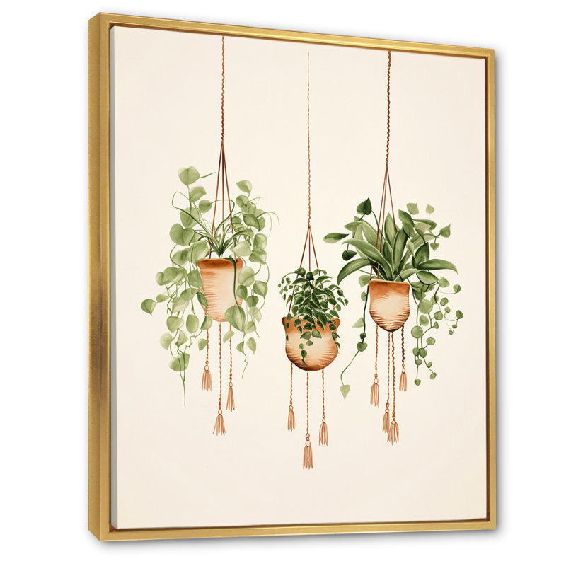 «Hanging Decorative Botanical Boho Plants I», reproduction sur toile, H 40 po x l 30 po x P 1,5 po, Cadre flottant doré