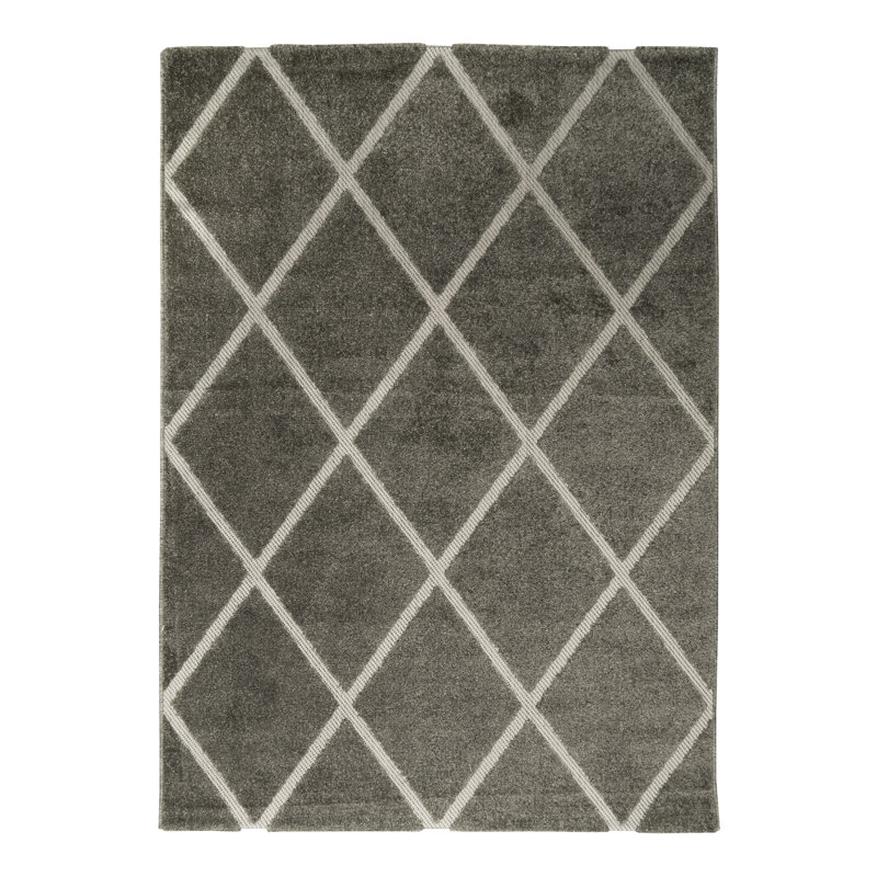Miral Rectangle Geometric Indoor / Outdoor Area Rug, Rectangle 120cm x 170cm