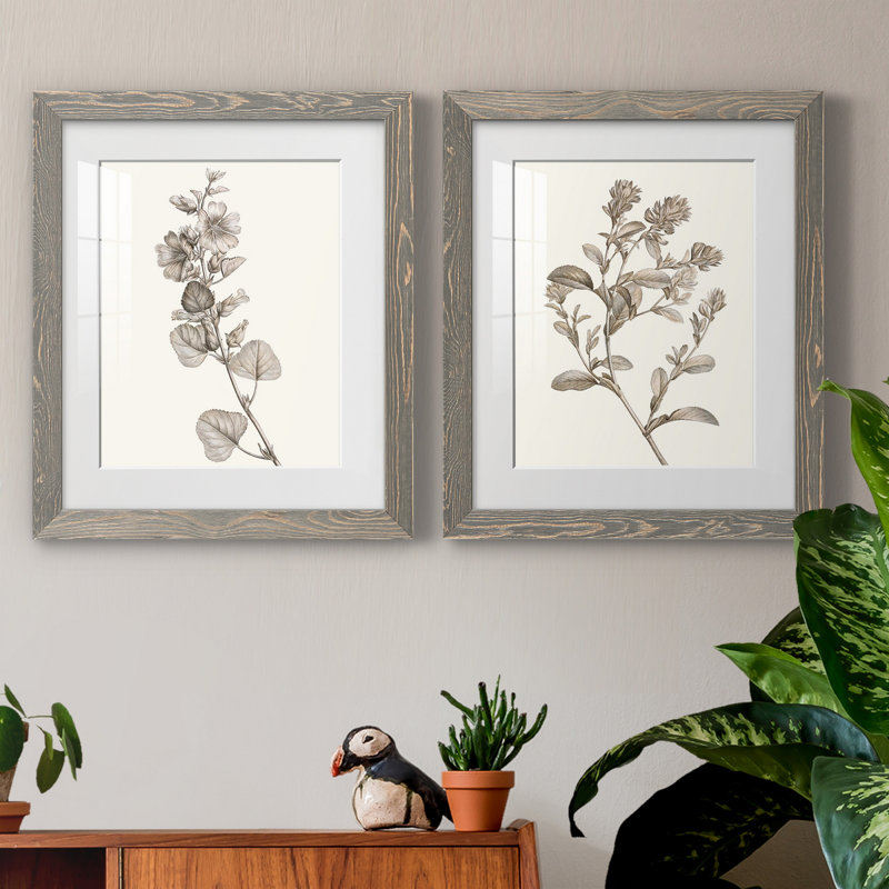 «Neutral Botanical Study», reproduction encadrée prête à être accrochée, H 20 po x l 17 po x P 1 po, Cadre en papier gris