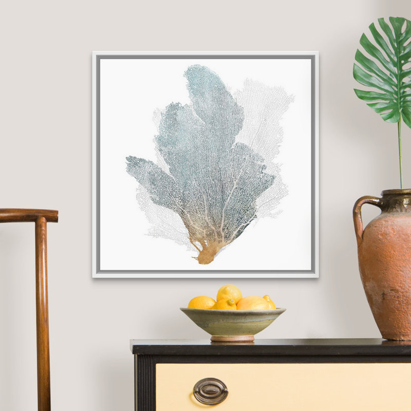 «Delicate Coral II» par Isabelle Z - reproduction d'art sur toile, H 26 po x l 26 po, Toile avec cadre flottant, Blanc