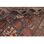 Tapis Garden Design 7 x 9