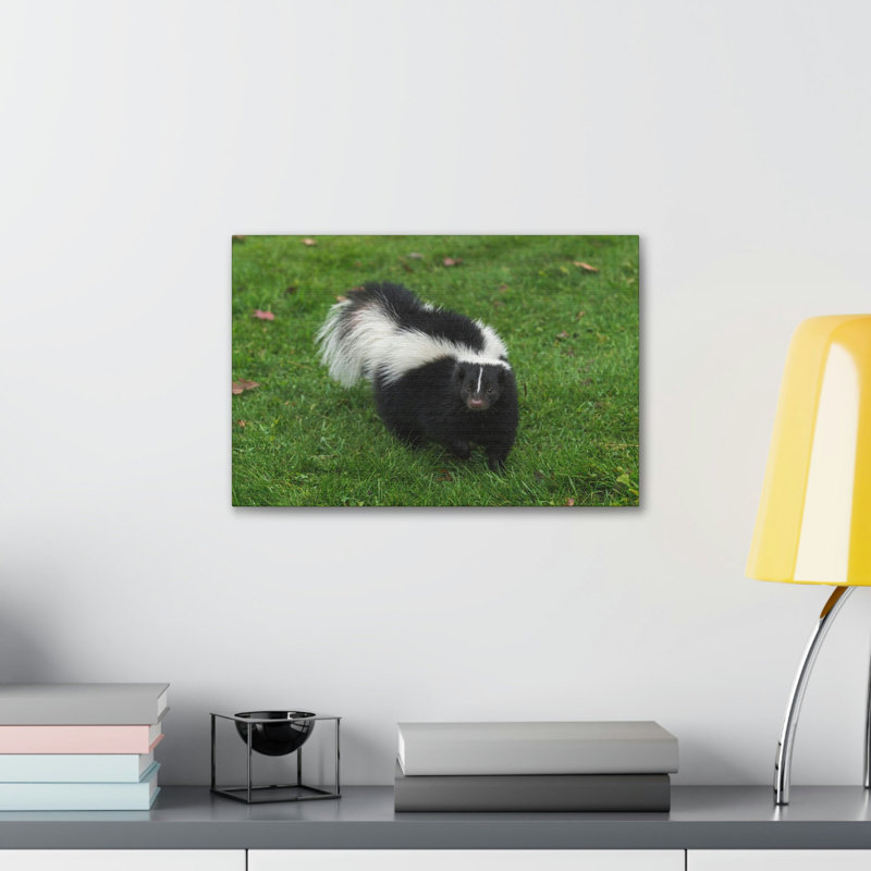 Art mural majestueux Skunks, H 11 po x l 14 po