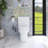 12 Inch One Piece 1.28 GPF Single Flush Elongated Toilet In White Seat Included