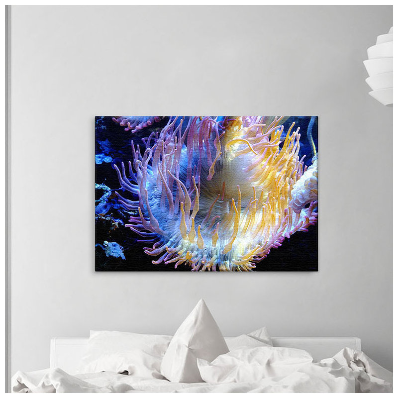 Print on Canvas, 100cm H x 150cm W x 2cm D
