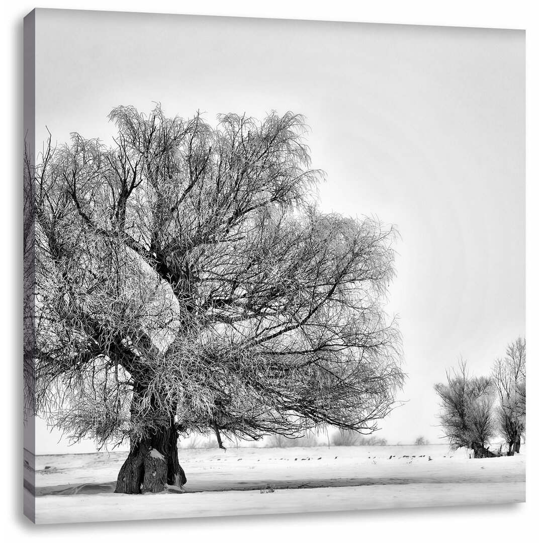 Leinwandbild Bäume im Schnee Nebel